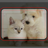 Custom Pet Photo Car Air Freshener