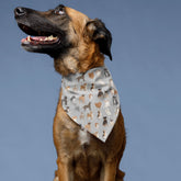 Dog Breed Dog Lover Fun Pattern Bandana