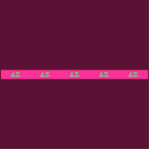 Delta Zeta Green Letters Pet Leash