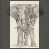 Elephant Sketch Light Switch Cover
