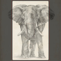 Elephant Sketch Light Switch Cover