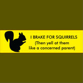 I Brake for Squirrels Bumper Sticker
