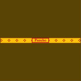 Zia Sun Pet Leash
