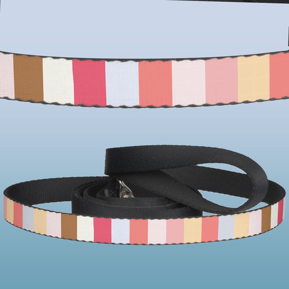 Modern Pastel Candy Stripe Pet Leash