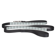 Cute aqua gray stripes pet leash