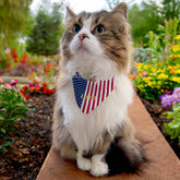 American USA Flag Stars Stripes Pet Dog Puppy Name Bandana Collar