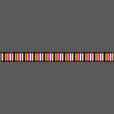 Cute black orange stripes pet leash