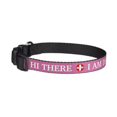 Deaf pet DIY pink Collar