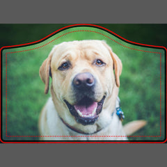 Personalized photo or art door sign
