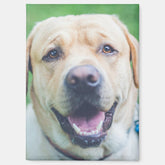 Personalized photo or art magnet