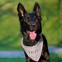 Cute Chic Pink Polka Dot Pet Dog Bandana Collar