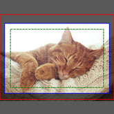 Add Your Own | Custom Cat Photo Hanging Tapestry