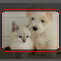 Custom Pet Photo Car Air Freshener