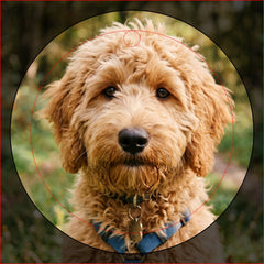 Personalized Photo Collage 4 Photos Wine Charm