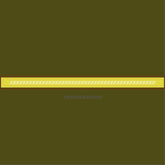 Pretty Golden Colors Z Design Pet Leash