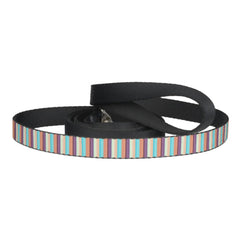 Cute blue brown stripes pet leash
