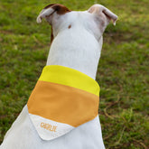 Halloween Candy Corn Pet Bandana