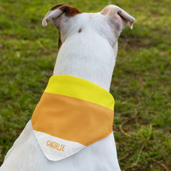 Halloween Candy Corn Pet Bandana