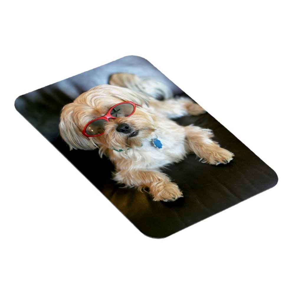 Custom Photo Refrigerator Magnet
