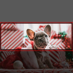 Personalized Photo and Text Body Pillow