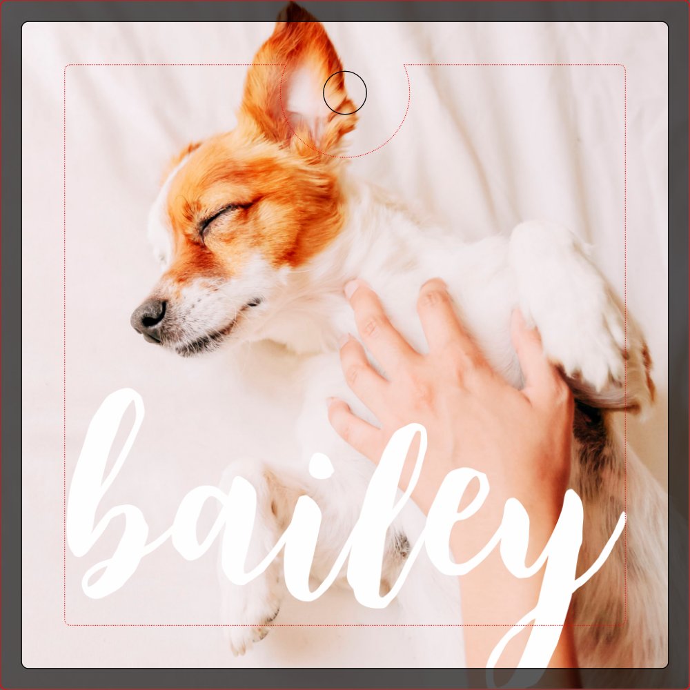 Modern Playful Simple Elegant Chic Pet Photo Keychain