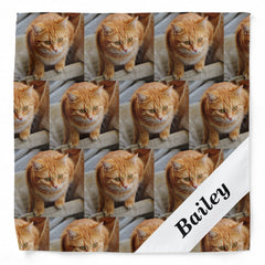 Pet Cat Dog  Personalized Photo Template Bandana
