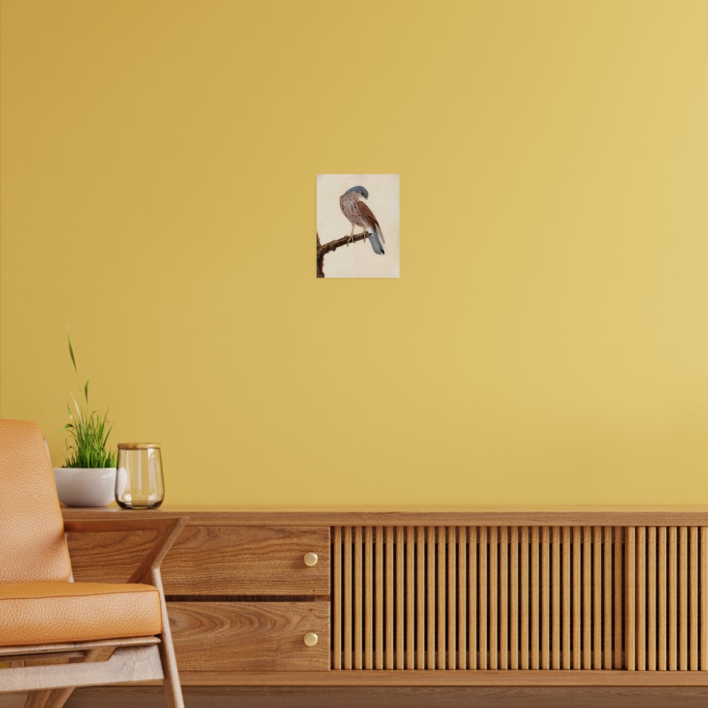 Falcon Hen Kestrel | William Lewin Poster