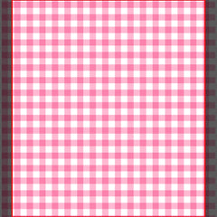 Girly Pink Gingham Pattern Espadrilles