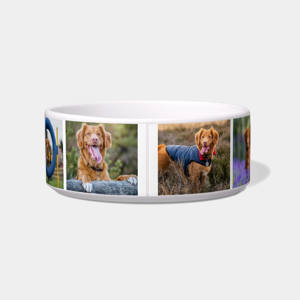 Photo Collage Simple Pet Bowl