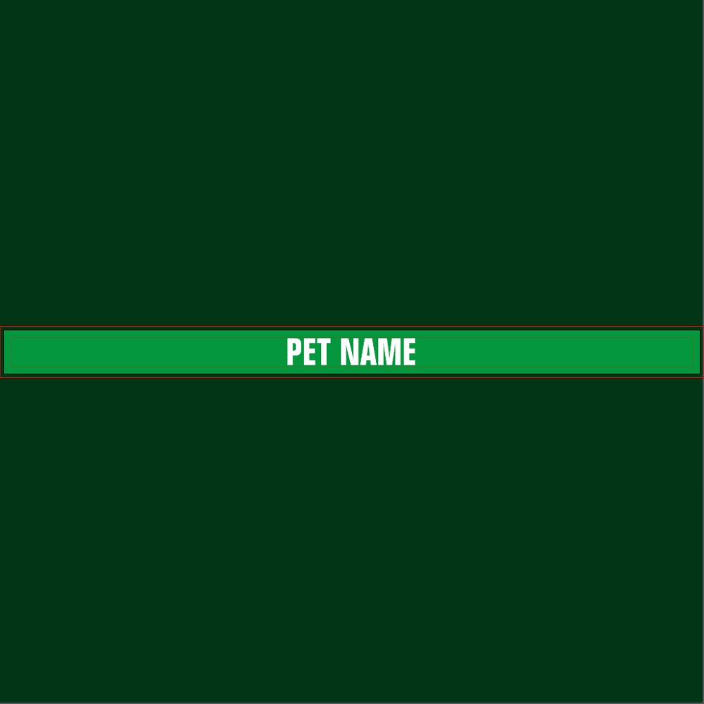 Pet name collar