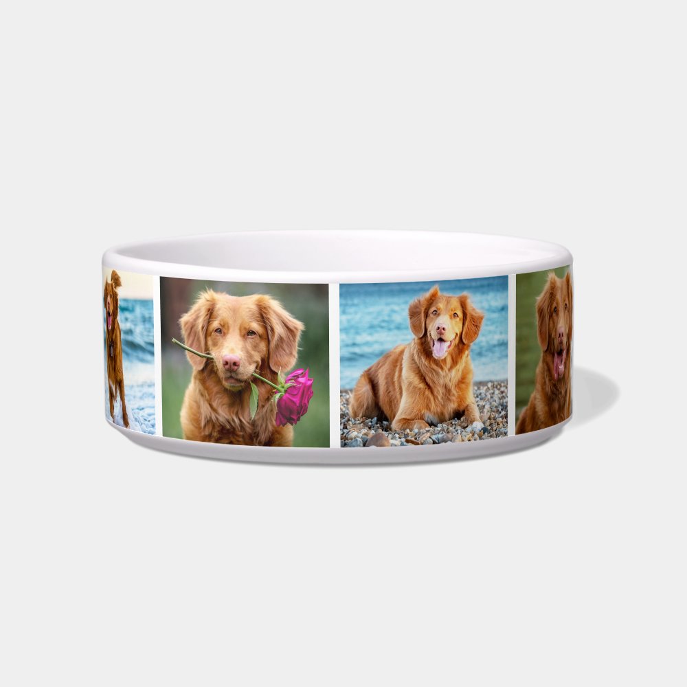 Photo Collage Simple Pet Bowl
