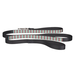 Cute blue brown stripes  pet leash