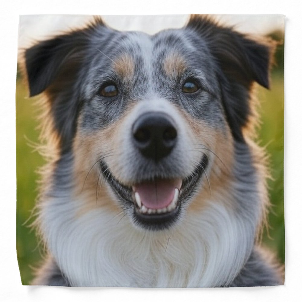 Add Pet Photo Customize Bandana
