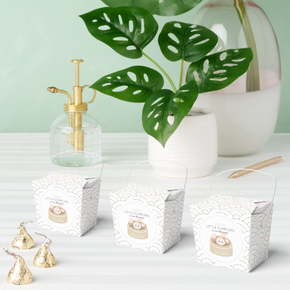 Little Dumpling White Baby Shower Favor Boxes