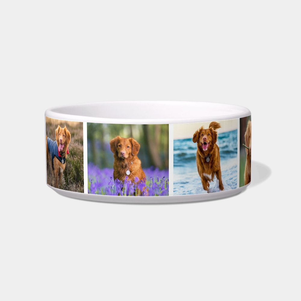 Photo Collage Simple Pet Bowl