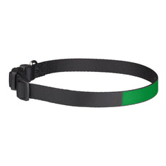 Pet name collar