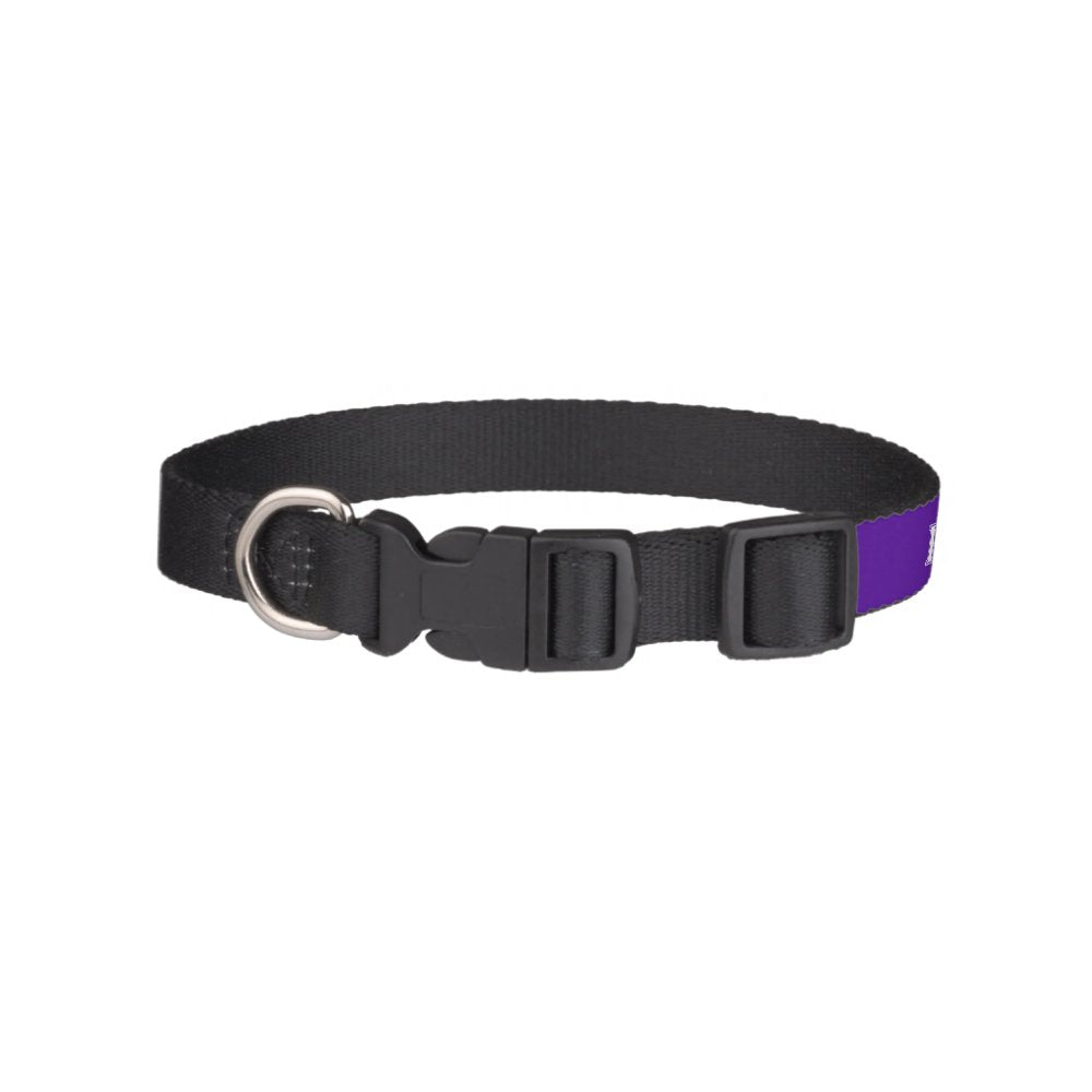 Phi Gamma Delta Whie and Purple Letters Pet Collar