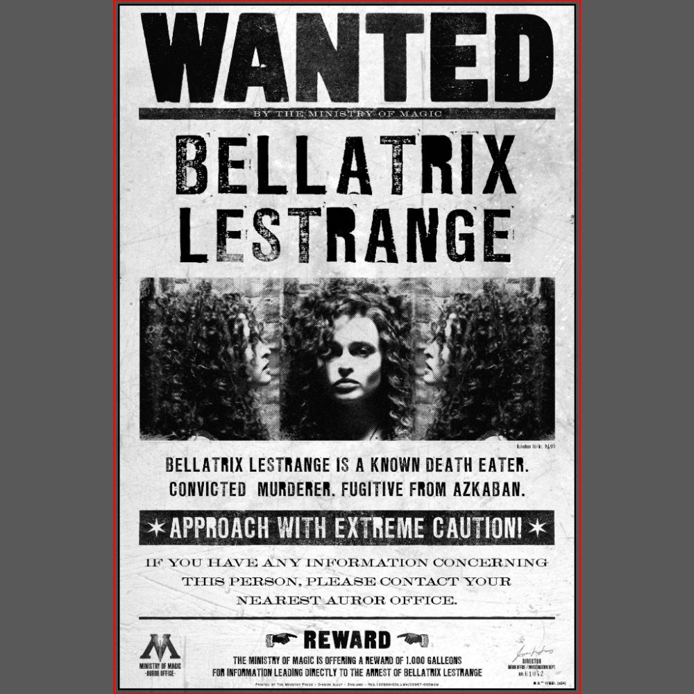 HARRY POTTER™ Wanted Wall Art Sets