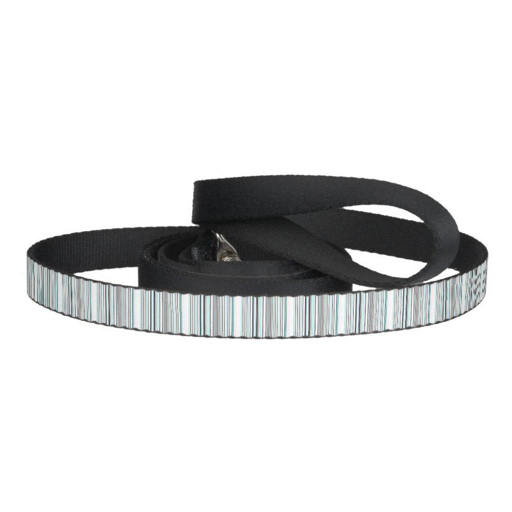 Cute aqua gray stripes pet leash
