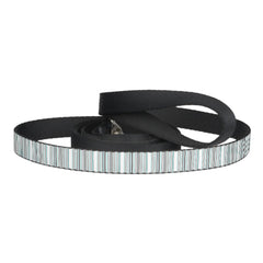 Cute aqua gray stripes pet leash