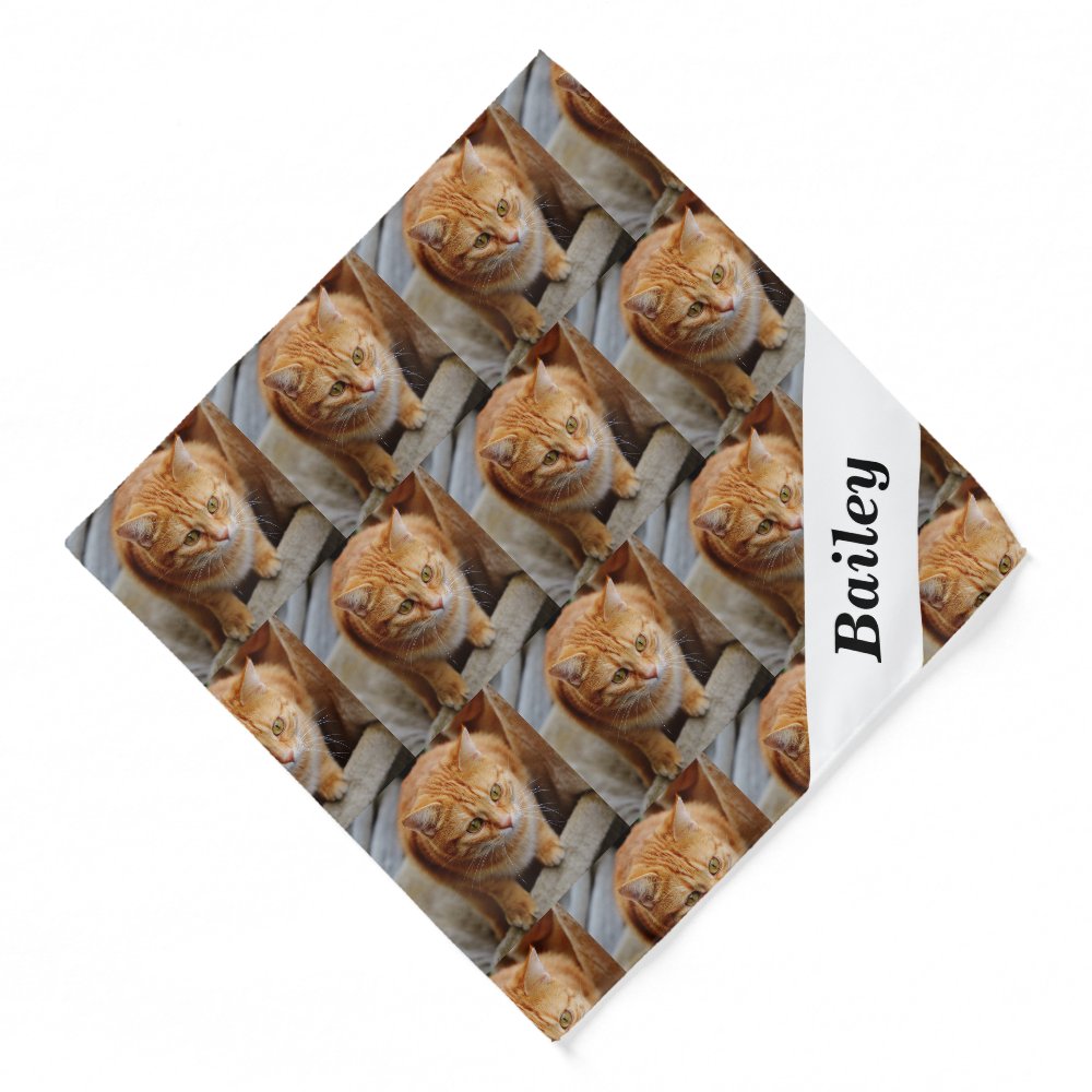 Pet Cat Dog  Personalized Photo Template Bandana