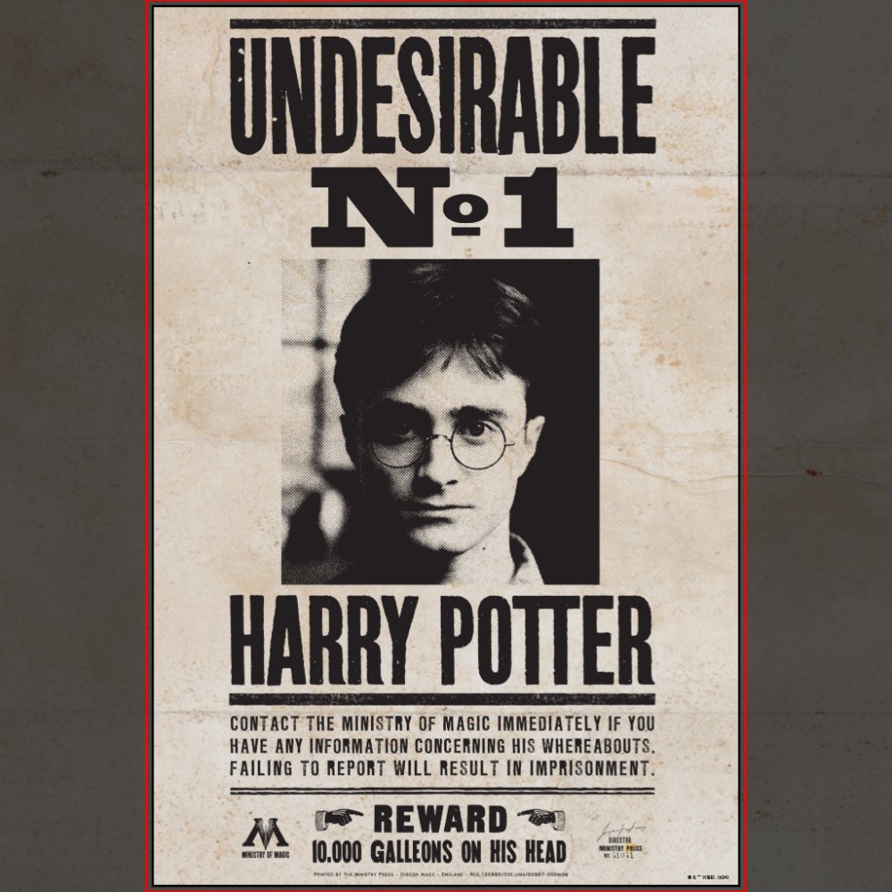 HARRY POTTER™ Wanted Wall Art Sets
