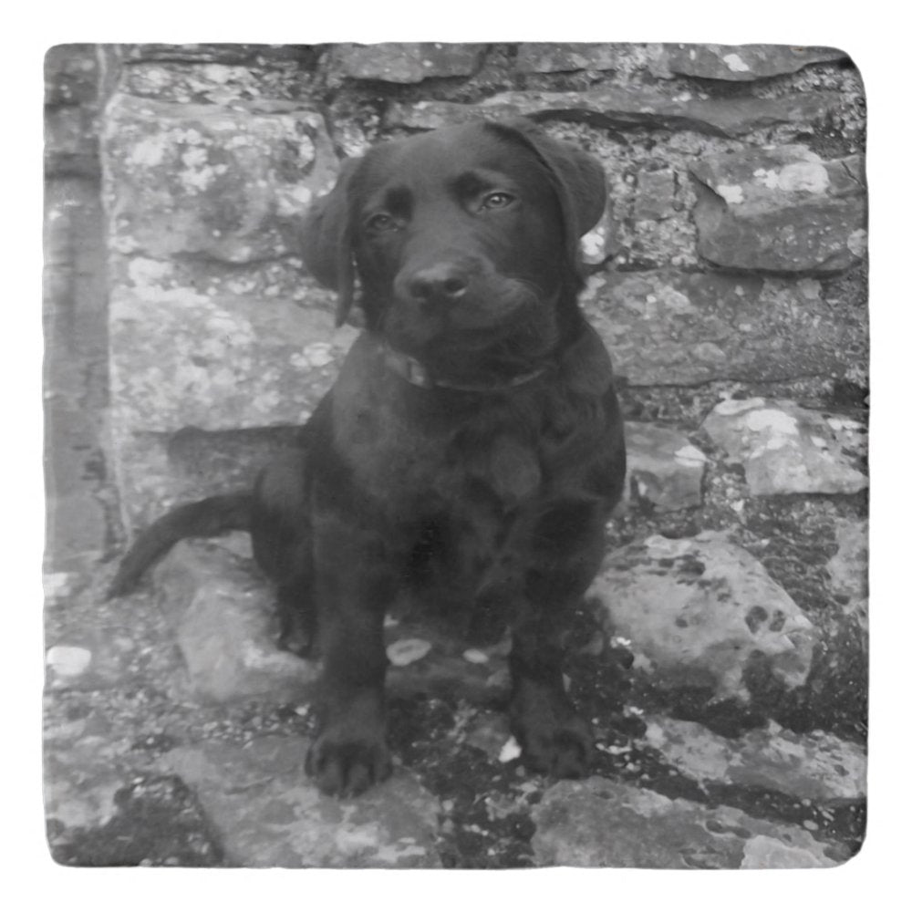 Custom Photo personalized Trivet