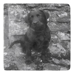 Custom Photo personalized Trivet