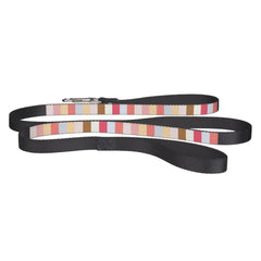 Modern Pastel Candy Stripe Pet Leash