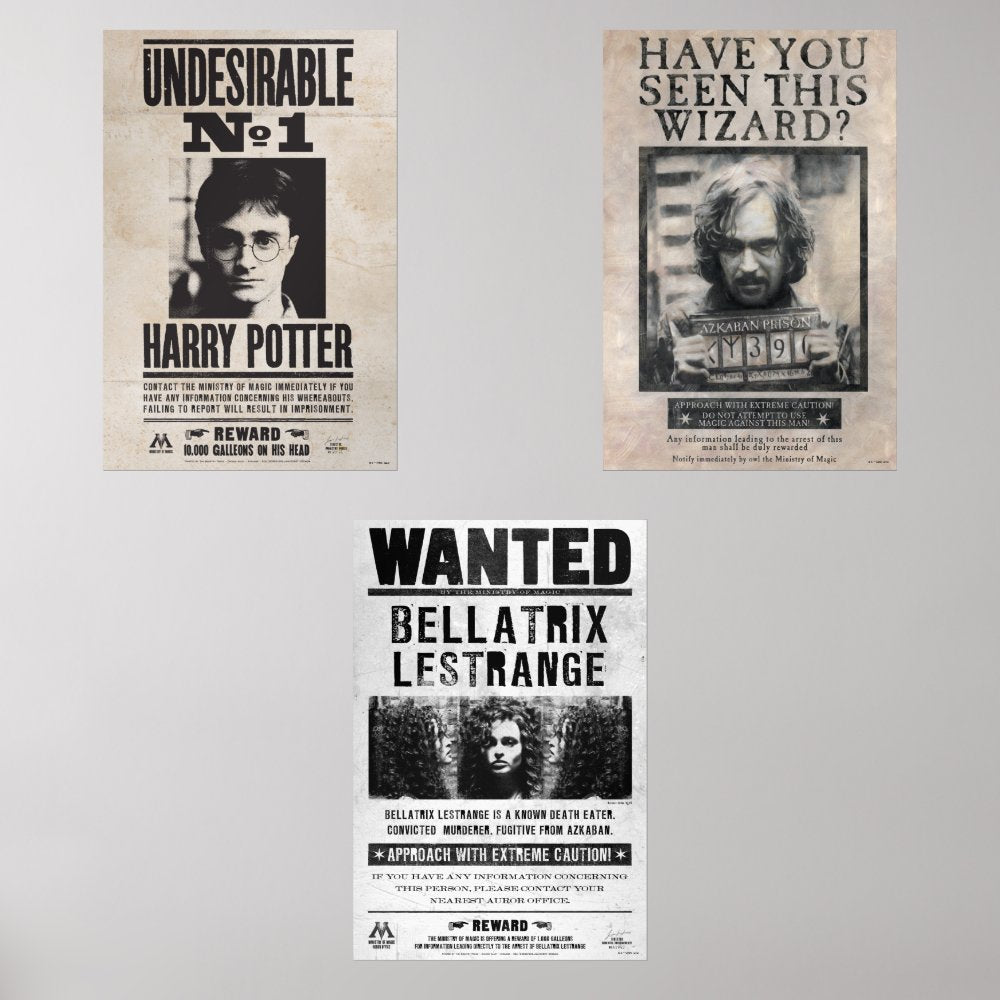 HARRY POTTER™ Wanted Wall Art Sets