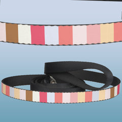 Modern Pastel Candy Stripe Pet Leash