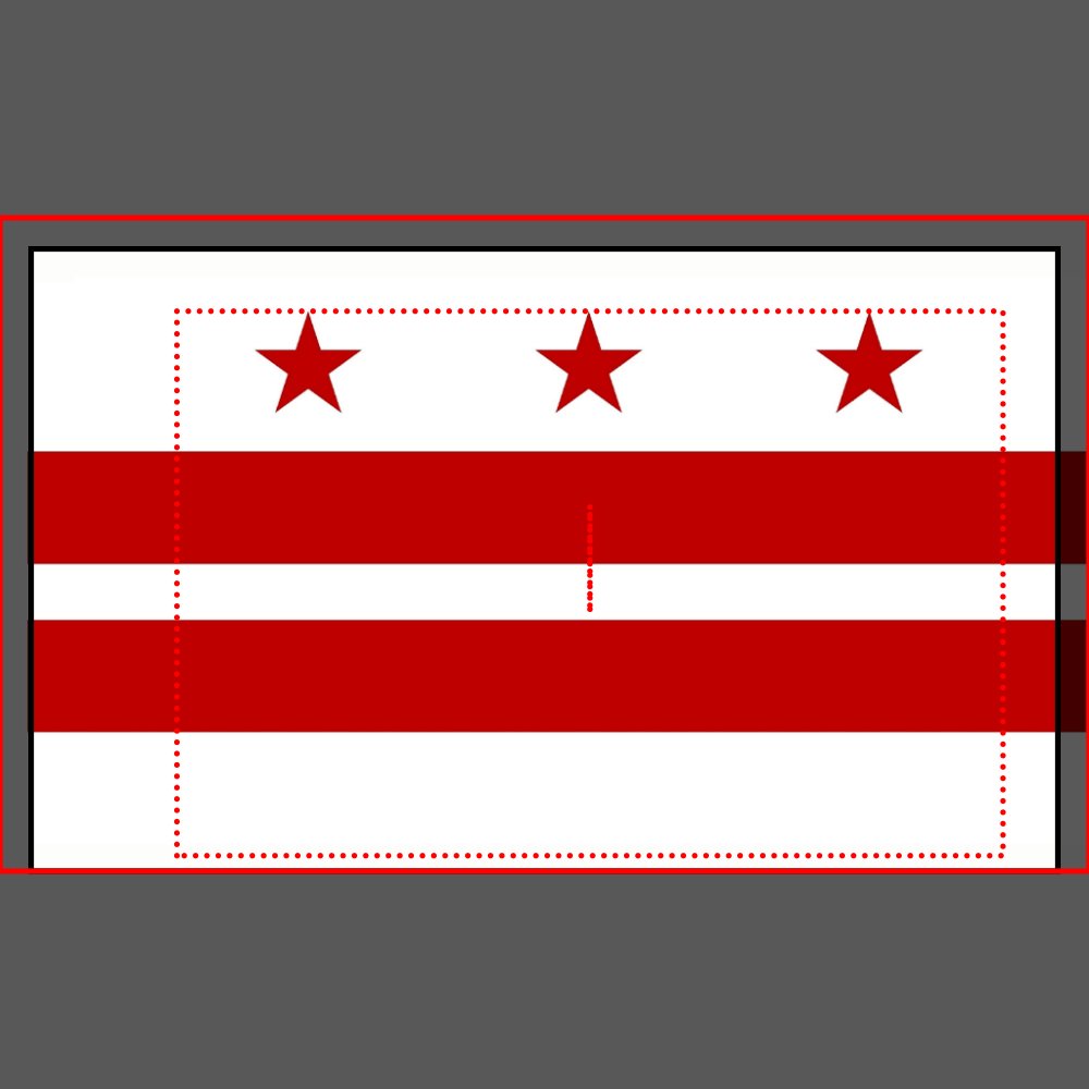Patriotic Single Pillowcase flag of Washington DC