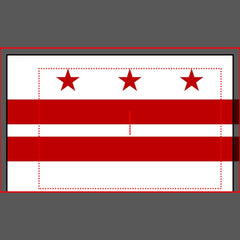 Patriotic Single Pillowcase flag of Washington DC