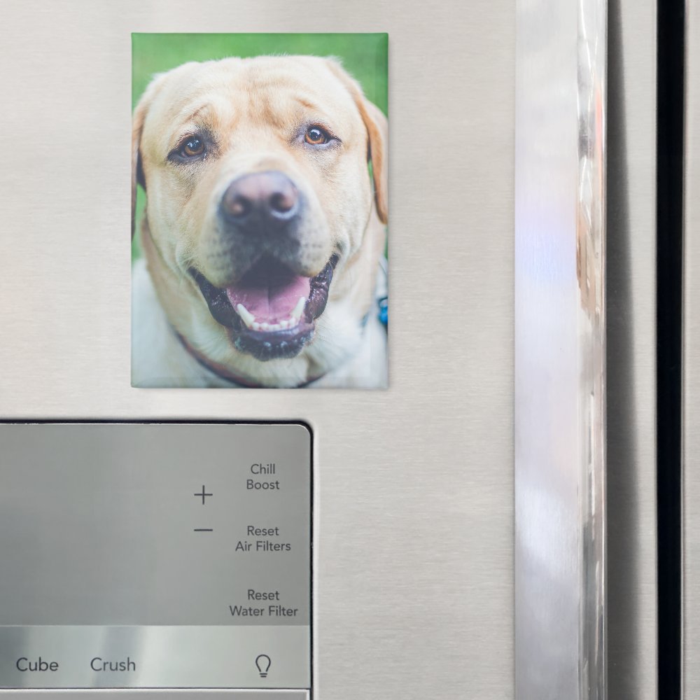 Personalized photo or art  magnet